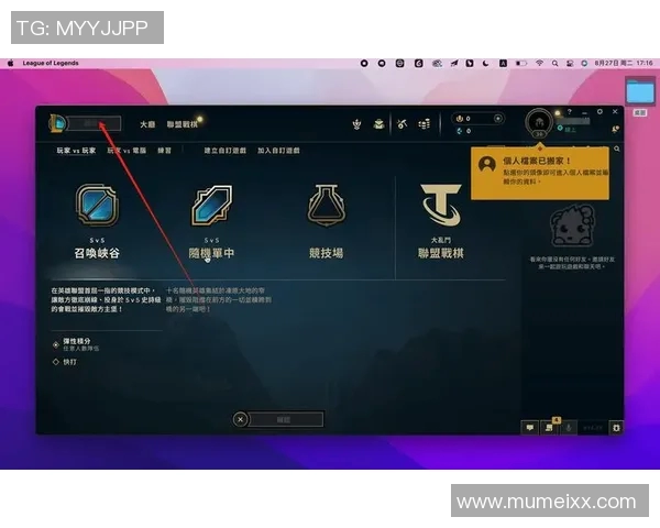 刘秀英独家揭秘英雄联盟游戏策略与技巧分享
