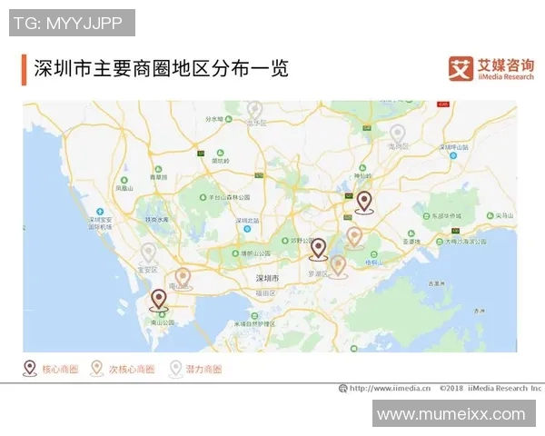 深度分析深圳排球队阵地战战术及其对比赛的影响